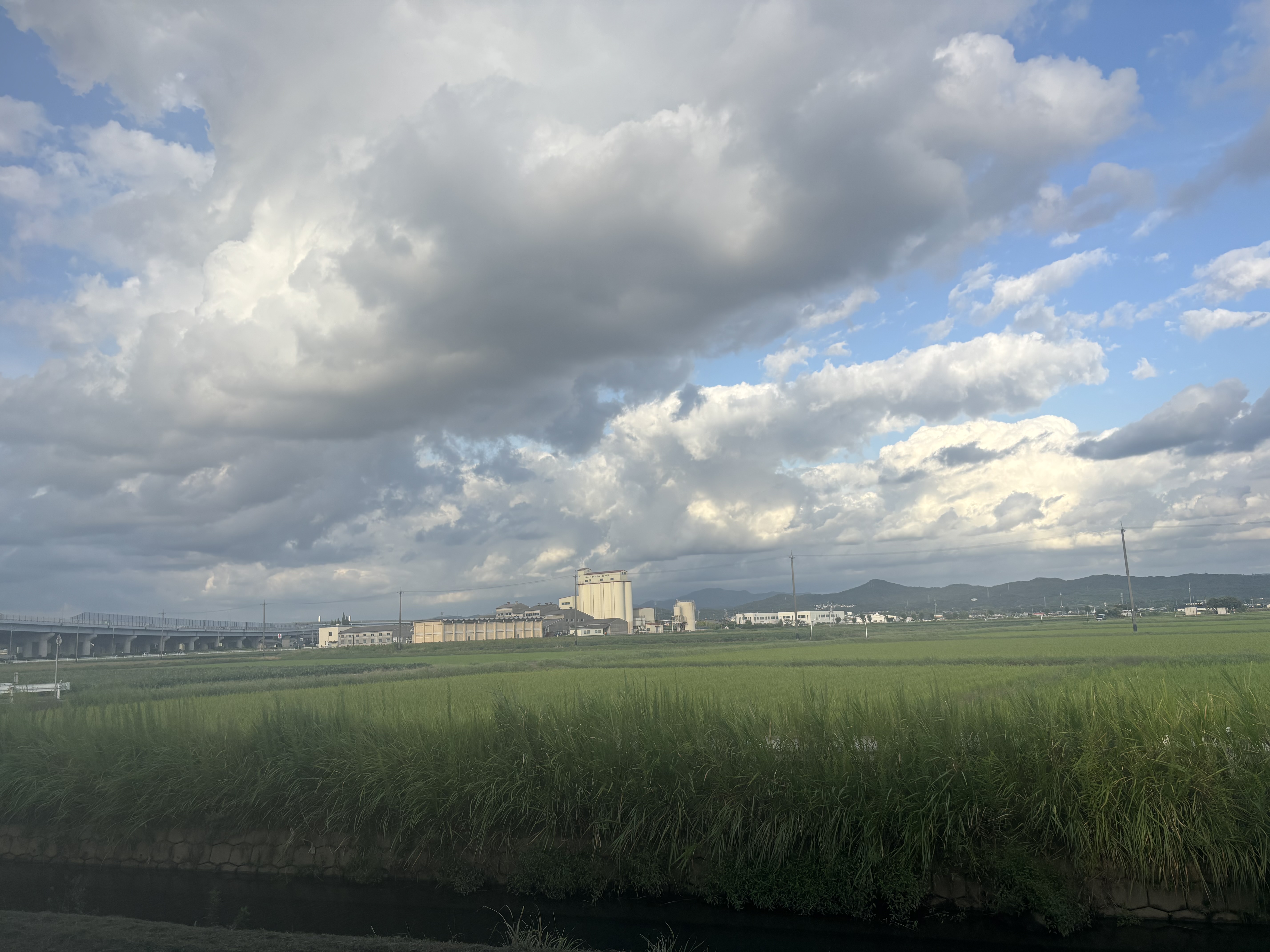 もうすぐ秋かな