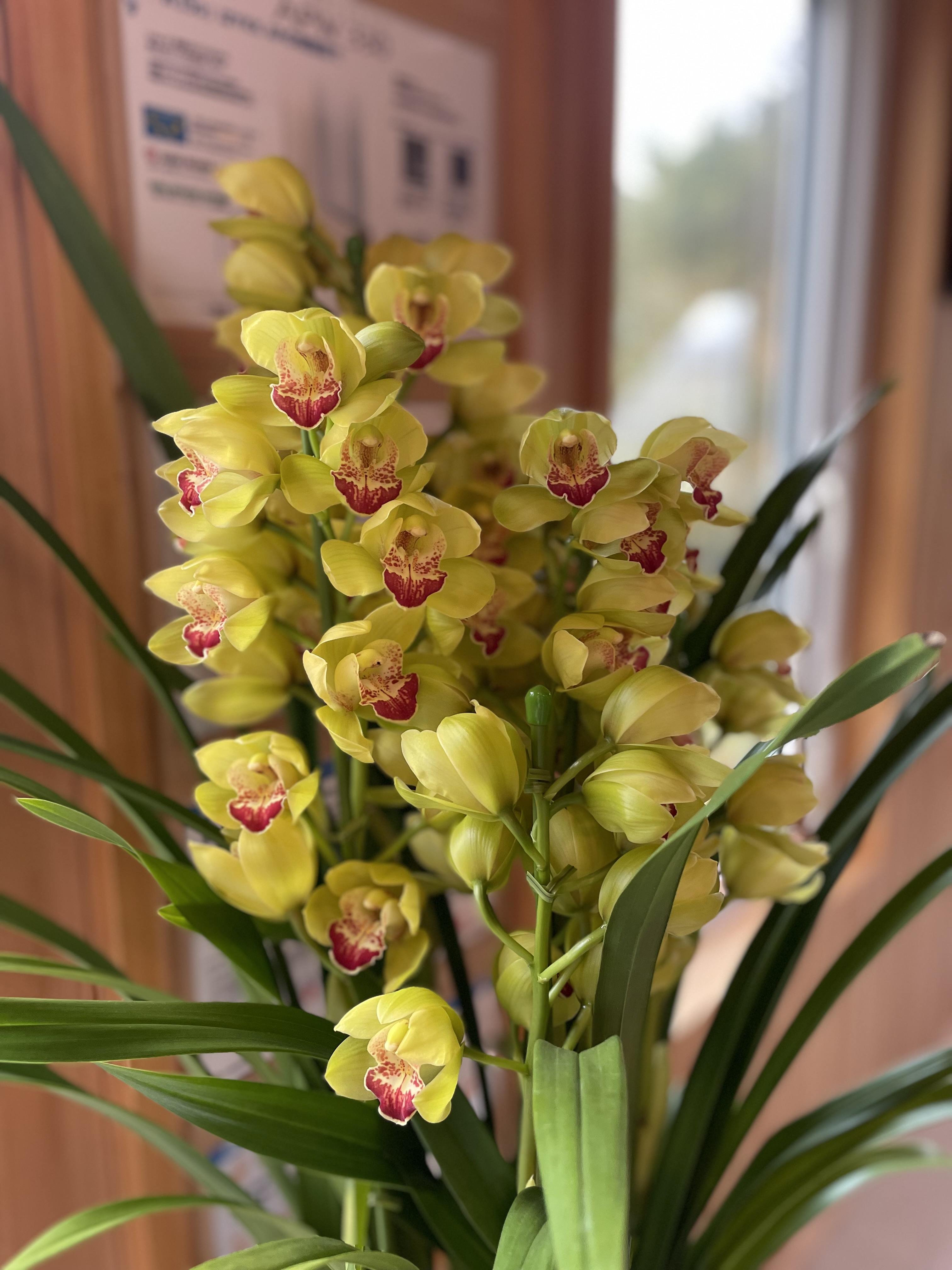 年末年始も元気に過ごしましょう